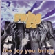 Swing 52 - The Joy You Bring